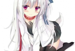 动漫图库网,探索无限创意的动漫世界